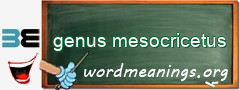 WordMeaning blackboard for genus mesocricetus